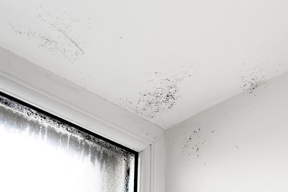 Reparar humedades en paredes interiores: pasos a seguir